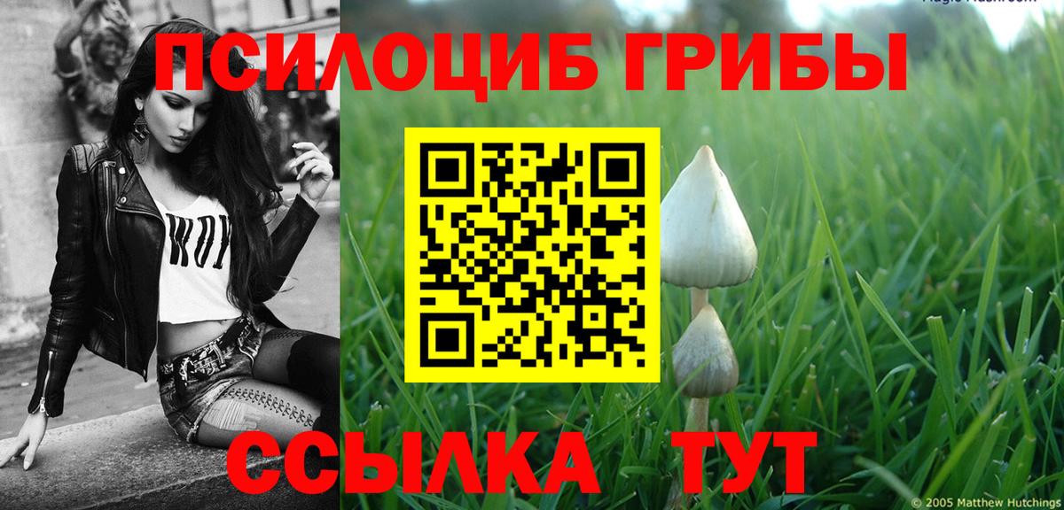 Полевской  где можно купить наркотик  Галлюциногенные грибы Psilocybe  Вход с VPN  Галлюциногенные грибы мицелий 