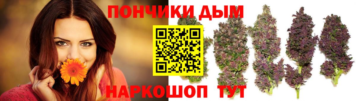 Бошки марихуана планчик  Вход с VPN  Бошки марихуана планчик  Бошки Шишки марихуана  Полевской 